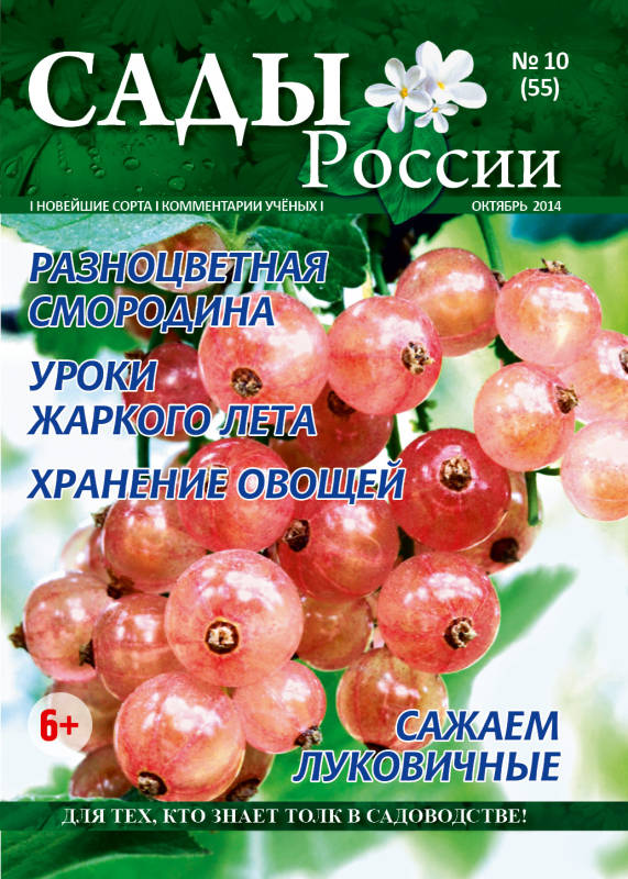 Русские Семена Интернет Магазин Каталог 2023 Осень