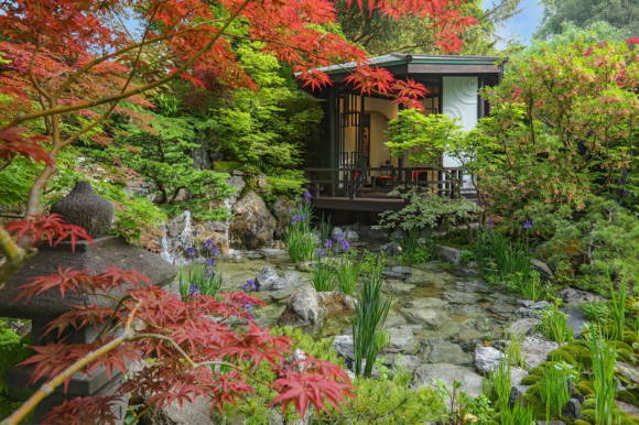 Сад 'O-mo-te-na-shino NIWA –The Hospitality Garden' в категории 'Artisan Gardens' 