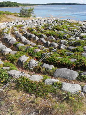 Каменные лабиринты на Большом Соловецком острове