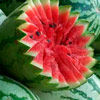 Национальный День арбуза / National Watermelon Day